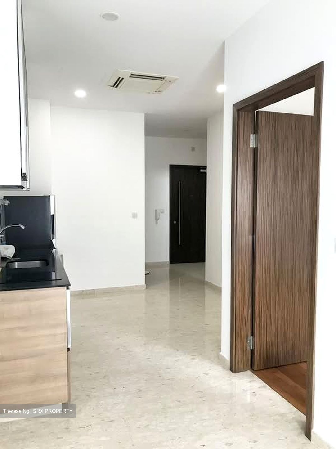 Suites @ Bukit Timah (D21), Apartment #573943581